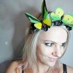 Green Yellow Butterfly and ..